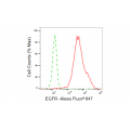 LifeSab™ KD-Validated EGFR Rabbit mAb (20 μl)