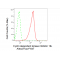 LifeSab™ KD-Validated CDKN1B Rabbit mAb (20 μl)