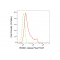 LifeSab™ KD-Validated RING1 Rabbit mAb (20 μl)