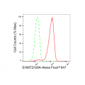 LifeSab™ KD-Validated EHMT2 Rabbit mAb (20 μl)