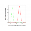 LifeSab™ KD-Validated HXK1 Rabbit mAb (20 μl)