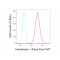 LifeSab™ KD-Validated HXK1 Rabbit mAb (20 μl)