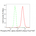 LifeSab™ KD-Validated Phospho-PKC alpha (Ser657) Rabbit mAb (20 μl)