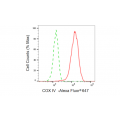 LifeSab™ KD-Validated COXIV Rabbit mAb (20 μl)