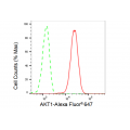 LifeSab™ KD-Validated AKT1 Rabbit mAb (20 μl)