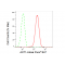 LifeSab™ KD-Validated AKT1 Rabbit mAb (20 μl)