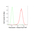 LifeSab™ KD-Validated Fibronectin 1 Rabbit mAb (20 μl)