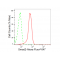 LifeSab™ KD-Validated Smad2 Rabbit mAb (20 μl)