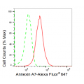 LifeSab™ KD-Validated ANX7 Rabbit mAb (20 μl)