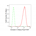 LifeSab™ KD-Validated ANX5 Rabbit mAb (20 μl)