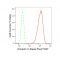 LifeSab™ KD-Validated ANX5 Rabbit mAb (20 μl)