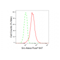 LifeSab™ KD-Validated Src Rabbit mAb (20 μl)