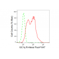 LifeSab™ KD-Validated GC1q R Rabbit mAb (20 μl)