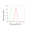 LifeSab™ KD-Validated CRKII Rabbit mAb (20 μl)