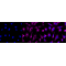 LifeSab™ KD-Validated PKACA Rabbit mAb (20 μl)