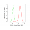 LifeSab™ KD-Validated RRM1 Rabbit mAb (20 μl)