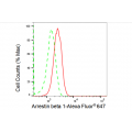 LifeSab™ KD-Validated ARRB1 Rabbit mAb (20 μl)