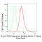 LifeSab™ KD-Validated GRSF1 Rabbit mAb (20 μl)