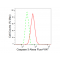 LifeSab™ KD-Validated CASP3 Rabbit mAb (20 μl)