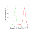 LifeSab™ KD-Validated CASP9 Rabbit mAb (20 μl)