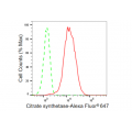 LifeSab™ KD-Validated Citrate Synthetase Rabbit mAb (20 μl)