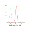 LifeSab™ KD-Validated Stat3 Rabbit mAb (20 μl)