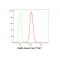 LifeSab™ KD-Validated Stat3 Rabbit mAb (20 μl)