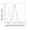 LifeSab™ KD-Validated CD49e Rabbit mAb (20 μl)