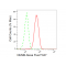 LifeSab™ KD-Validated NUMB Rabbit mAb (20 μl)