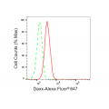 LifeSab™ Daxx Rabbit mAb (20 μl)