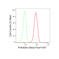 LifeSab™ PHB Rabbit mAb (20 μl)