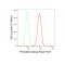 LifeSab™ PHB Rabbit mAb (20 μl)