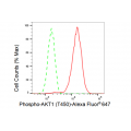 LifeSab™ Phospho-AKT1 (T450) Rabbit mAb (20 μl)