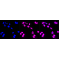 LifeSab™ Phospho-AKT1 (T450) Rabbit mAb (20 μl)