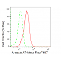 LifeSab™ ANXA7 Rabbit mAb (20 μl)