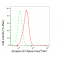 LifeSab™ ANXA7 Rabbit mAb (20 μl)