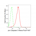 LifeSab™ CPP32B Rabbit mAb (20 μl)