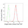 LifeSab™ CD61 Rabbit mAb (20 μl)