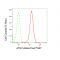 LifeSab™ ATG7 Rabbit mAb (20 μl)