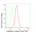 LifeSab™ CALB2 Rabbit mAb (20 μl)