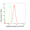 LifeSab™ CASP8 Rabbit mAb (20 μl)