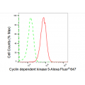 LifeSab™ CDK5 Rabbit mAb (20 μl)