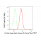 LifeSab™ CDK5 Rabbit mAb (20 μl)