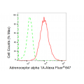 LifeSab™ IRF7 Rabbit mAb (20 μl)