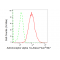 LifeSab™ IRF7 Rabbit mAb (20 μl)