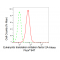 LifeSab™ eIF2α Rabbit mAb (20 μl)