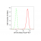 LifeSab™ eIF3A Rabbit mAb (20 μl)