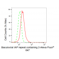 LifeSab™ C-IAP1 Rabbit mAb (20 μl)