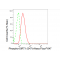 LifeSab™ Phospho-SIRT1 (S47) Rabbit mAb (20 μl)