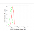 LifeSab™ AGTR1 Rabbit mAb (20 μl)